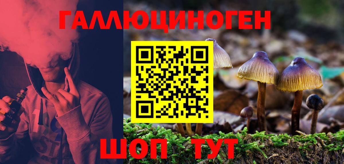 Галлюциногенные грибы мухоморы  Псилоцибиновые грибы Magic Shrooms  Чебоксары  Вход с VPN 
